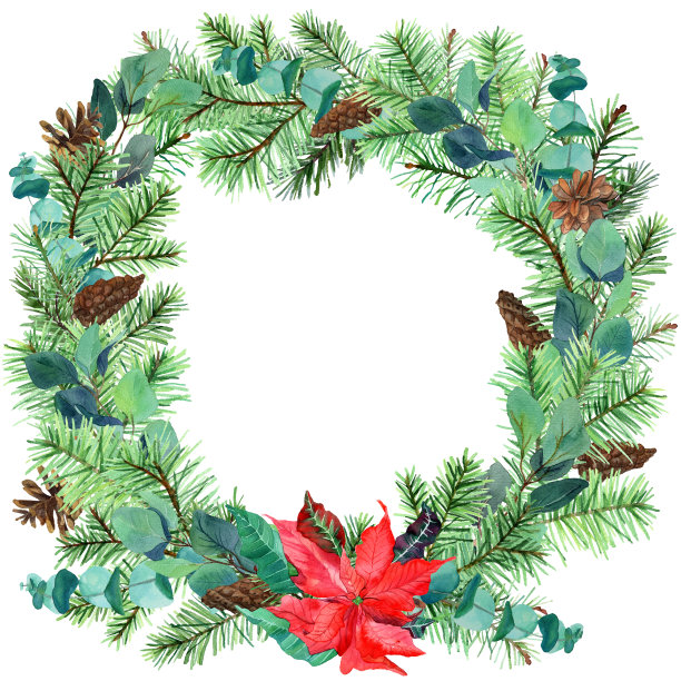 水彩圣诞常绿花环剪纸。圣诞树，一品红，松果，尤加利冬季框架孤立，图片下载