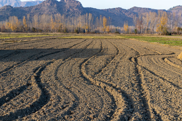 收获庄稼后，用拖拉机犁地图片下载