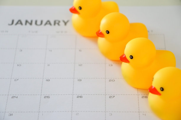 俯视图的四个黄色橡胶鸭在一排在一月日历的背景上，组织概念。成语短语例句:把你的鸭子排成一行。图片下载