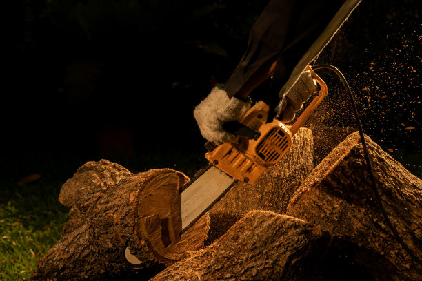 电锯在森林里砍伐树木，用来盖房子和做柴火图片下载