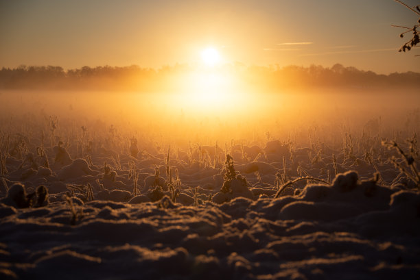 雪的风景图片下载