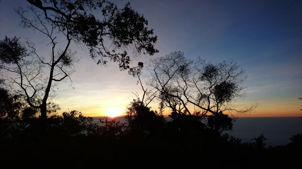 从灌木丛和树木后面看到的黄昏天空图片下载