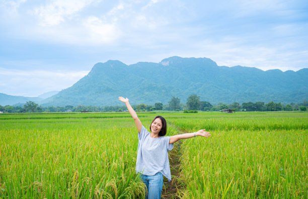 他是个游客，不是农民，站在田地中央。金黄色的稻穗，绿色的稻叶。背景是高山，多云的天空。图片下载