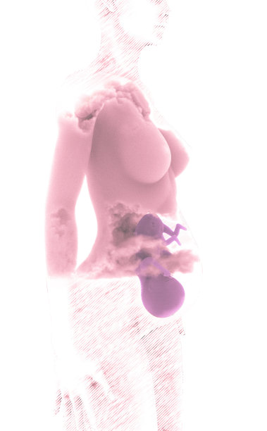 母亲的子宫，诞生。孩子，胎儿，器官形成。云的效果。图片下载