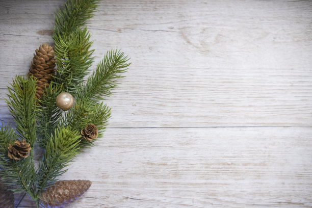 白木背景上的松叶和松果图片下载