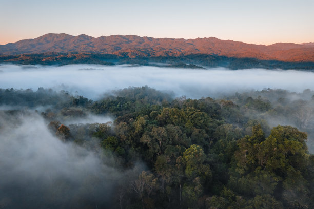 早晨的山和雾，高角度观看图片下载
