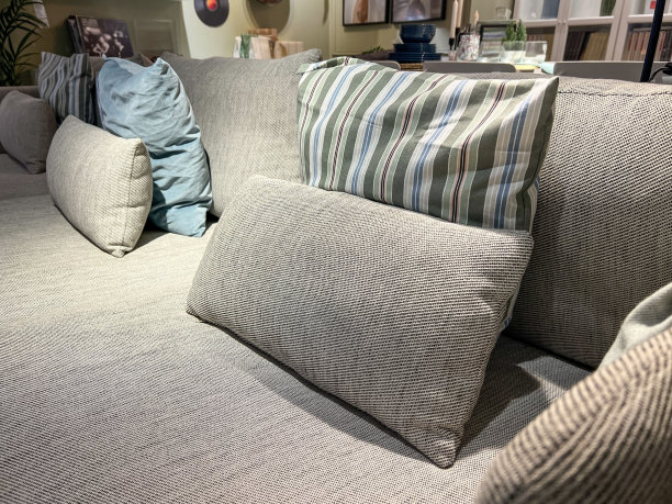 客厅里有沙发和枕头图片下载