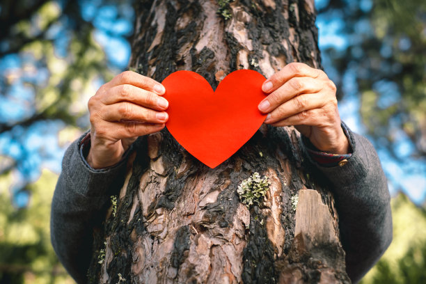 在森林里，女性双手抱着树干，手里拿着心形纸。尊重自然，保护地球免受森林砍伐图片下载