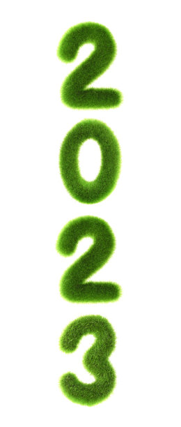 草2号，孤立在白色背景上。图片下载