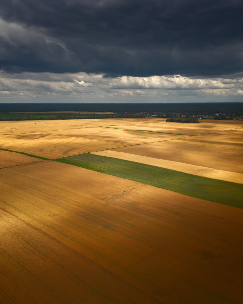 无人机拍摄的麦田照片图片下载