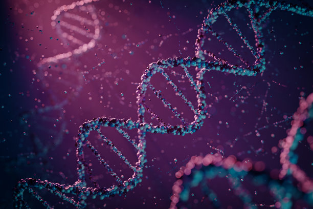 DNA分子图图片下载