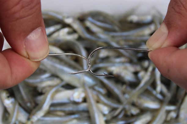 鱼钩系在渔夫手中的鱼线上图片下载