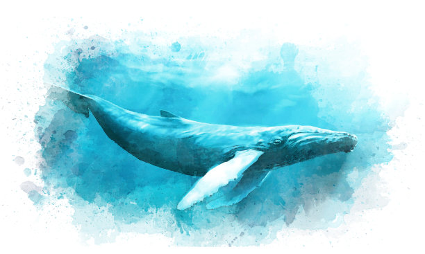 鲸鱼水彩图片下载