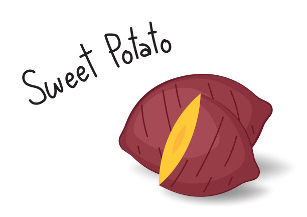 甘薯向量。白底红薯。图片下载