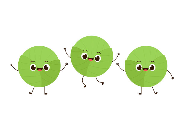 白菜字设计。白底卷心菜。卷心菜向量。图片下载