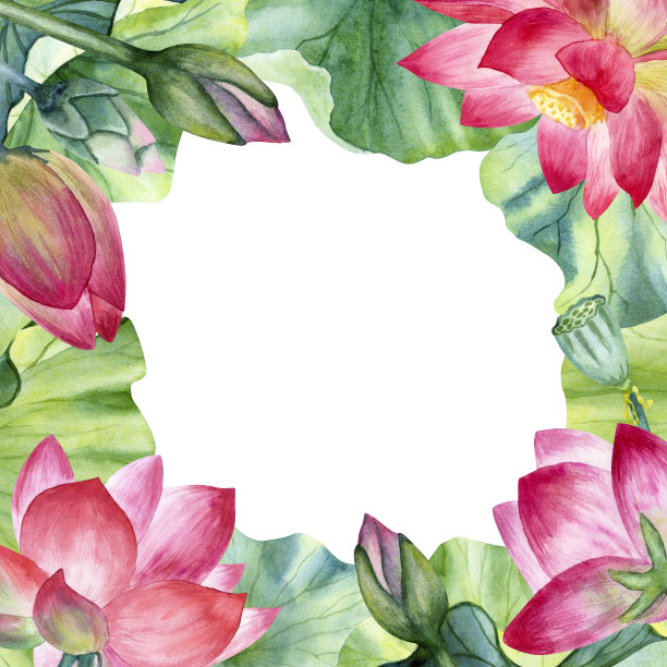 白色背景上的方形水彩莲花框。图片下载