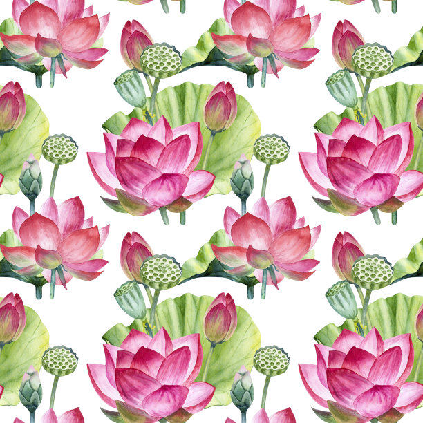 水彩粉荷花无缝图案。手绘插图孤立在白色背景上。图片下载