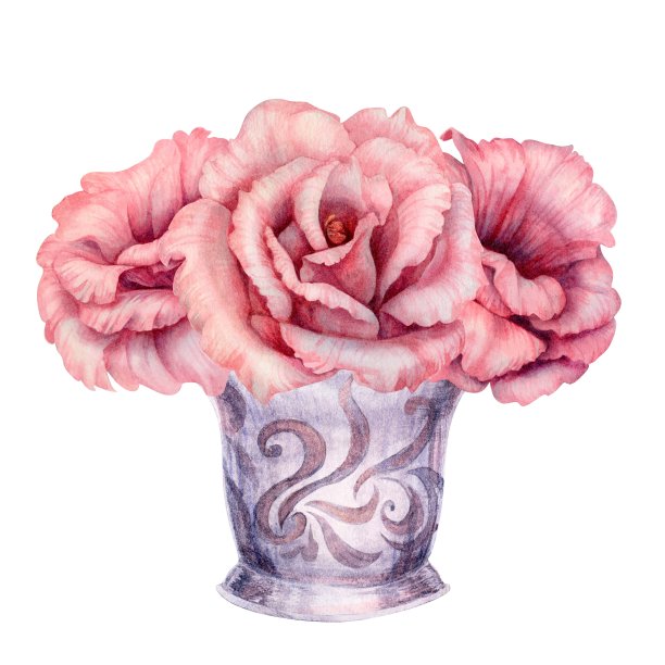 水彩手绘粉红色花朵在花瓶婚礼，生日，情人节，母亲节，父亲节，礼物，贴纸。元素孤立在白色背景上图片下载