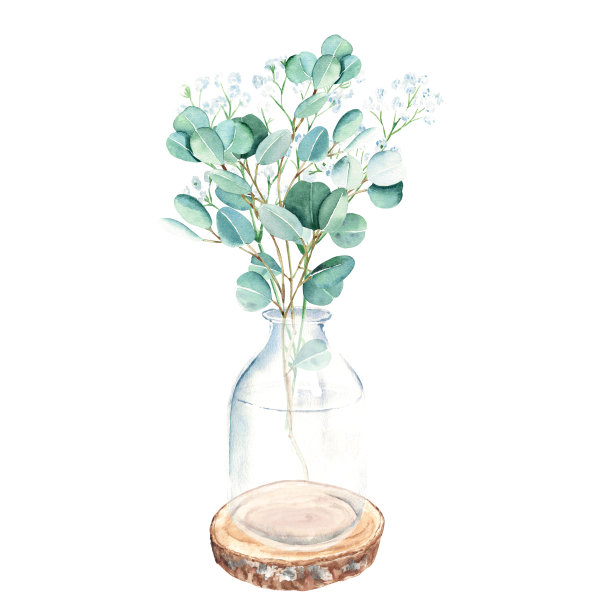 桉树和吉卜兰的树枝在花瓶上，罐子上圆木锯切。水彩手绘植物插图孤立的白色背景。生态简约风格的贺卡，海报，纺织品印花。图片下载