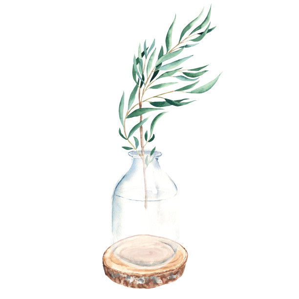 桉树枝、柳树，在花瓶、坛子上用圆木锯锯开。水彩手绘植物插图孤立的白色背景。生态简约风格的贺卡，海报，纺织品印花。图片下载
