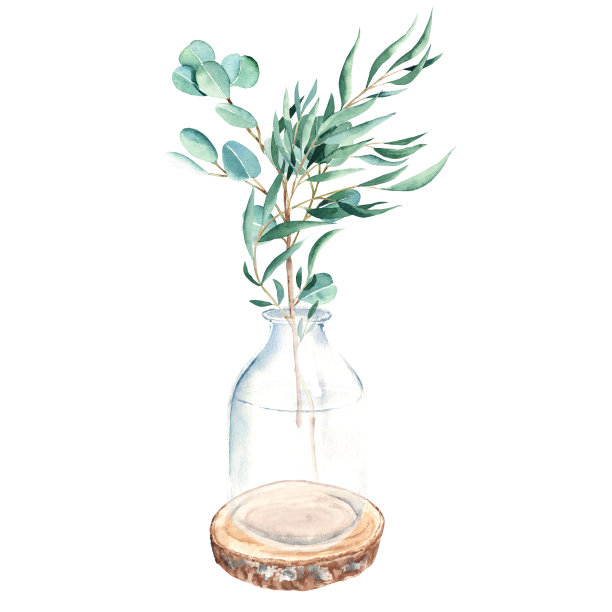 瓶中的桉树树枝在圆木锯上锯开。水彩手绘植物插图孤立的白色背景。生态简约风格贺卡，海报，纺织品印花，网页设计。图片下载