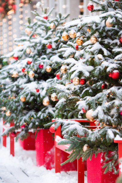 圣诞装饰的街道。经典的红色和绿色调。城市里美丽的节日景观。装饰过的圣诞树。图片下载