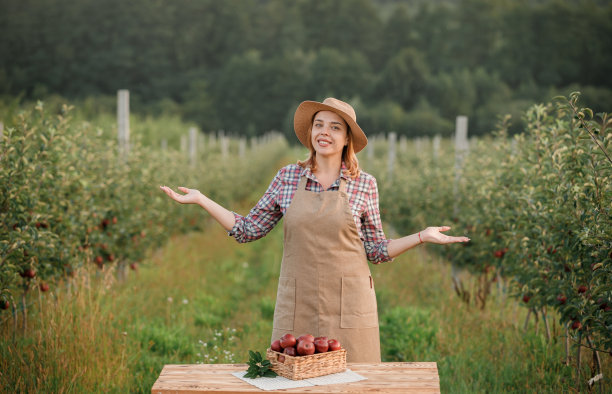 秋收时节，快乐微笑的女农工在果园里采摘新鲜成熟的苹果。收获的时间图片下载