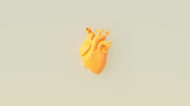 黄色橙色解剖人类心脏封面艺术概念暖灰色背景图片下载