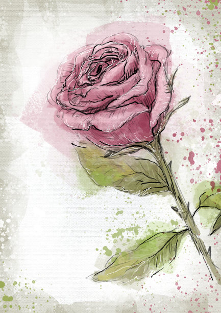 模板与玫瑰横幅，邀请，明信片。玫瑰水彩，垃圾摇滚，复古。图片下载