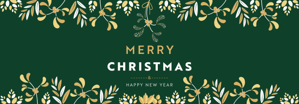 圣诞横幅广告框架模板装饰槲寄生雪花和许多植物(绿色)图片下载
