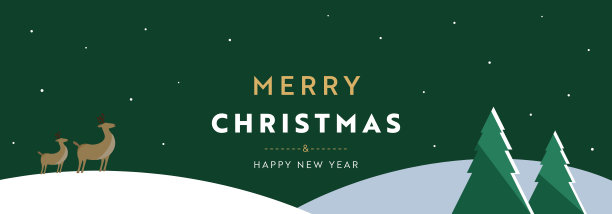 圣诞横幅广告模板，平面设计简单可爱(绿色)图片下载