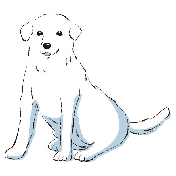 简单可爱的拉布拉多犬手绘线描矢量插图图片下载