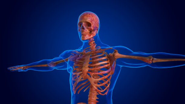 人体损伤骨骼所有骨骼医学概念3D图片下载