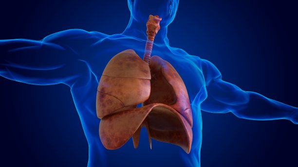 医学概念3D人体损伤肺解剖图片下载