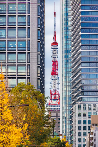东京的建筑和色彩鲜艳的银杏树图片下载