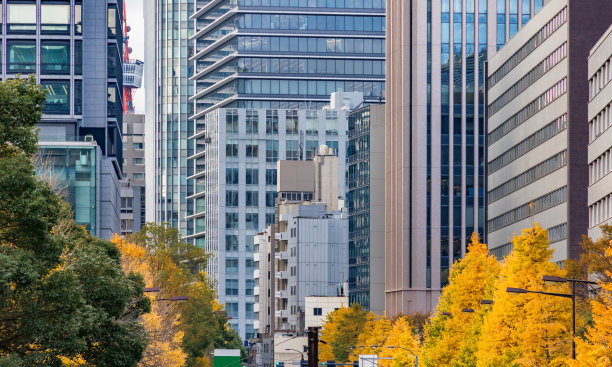 东京的建筑和色彩鲜艳的银杏树图片下载