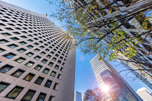 东京的建筑有着美丽的晨光图片下载