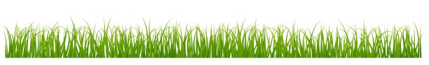 绿色草坪边界与现实生长的草叶图片下载