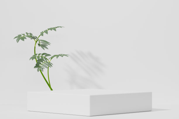 空白的白色讲台空白的产品货架站立背景。3 d渲染。图片下载