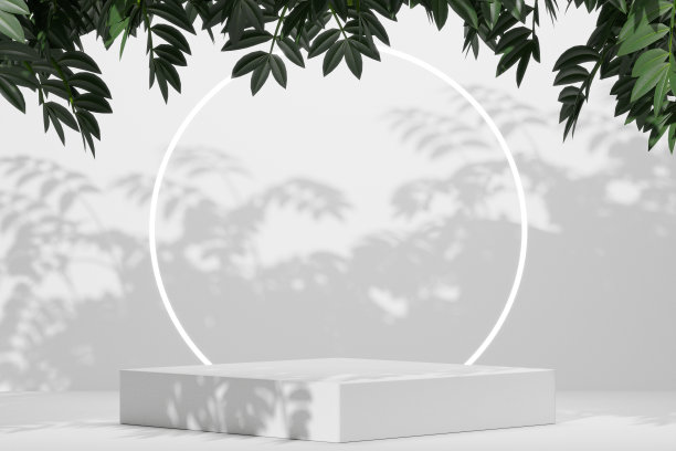 空白的白色讲台空白的产品货架站立背景。3 d渲染。图片下载