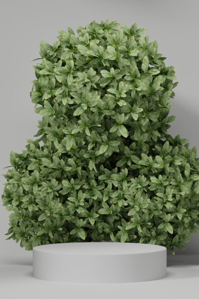 空白的白色讲台空白的产品货架站立背景。3 d渲染。图片下载