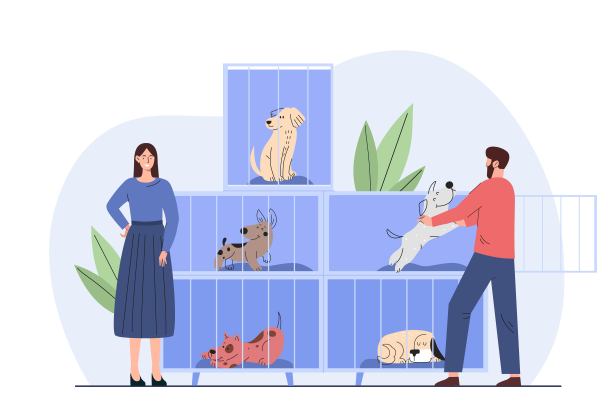 宠物店或动物收容所图片下载