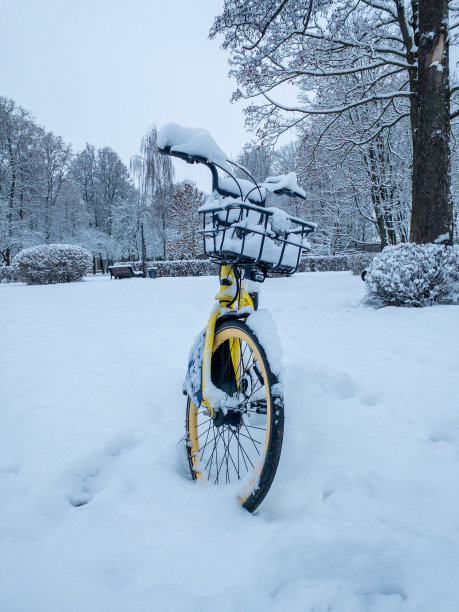 冬天已经在雪地里来了图片下载