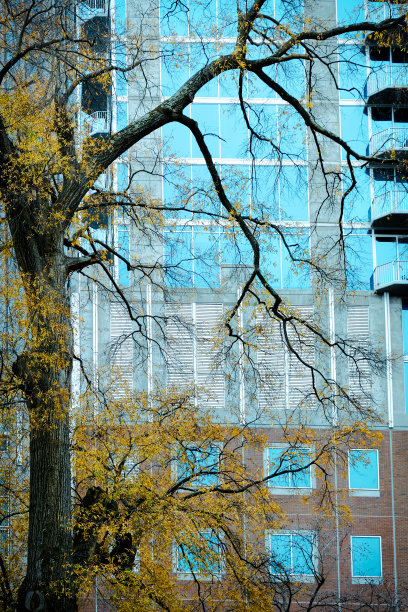 北卡罗来纳州夏洛特市，一幢带有蓝色镜面窗户的高楼。图片下载