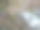 抽象或灌木中的鸟图片下载