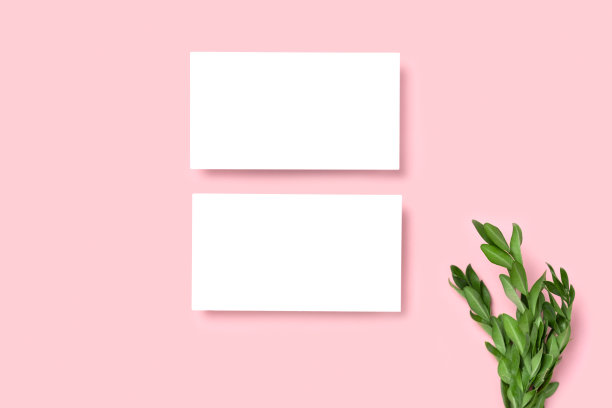 实物两剖面图，折扣，名片上的粉红色极简主义背景和绿色树叶分支图片下载