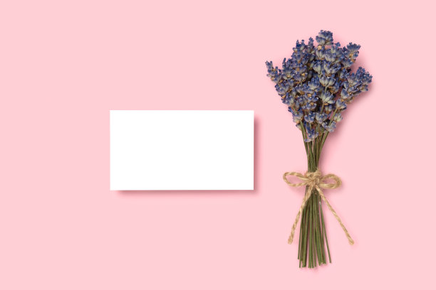 制作一张剖面图，印有粉红色极简主义背景和薰衣草花的名片图片下载