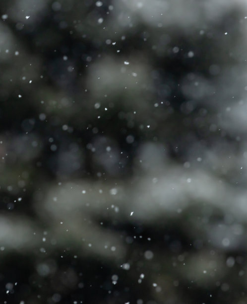 新鲜的雪花背景图片下载