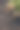 新鲜花生有根图片下载