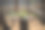 鹦鹉爱好者从食槽里吃东西。图片下载